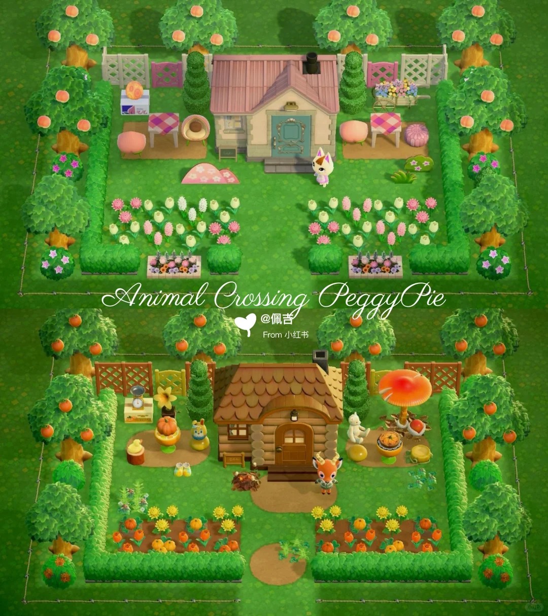 NO.36莎莎的家 (1).jpg