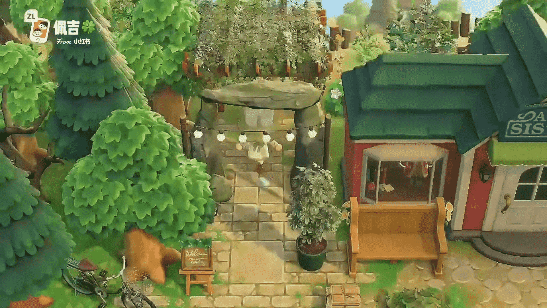 NO.62森系浓郁森系