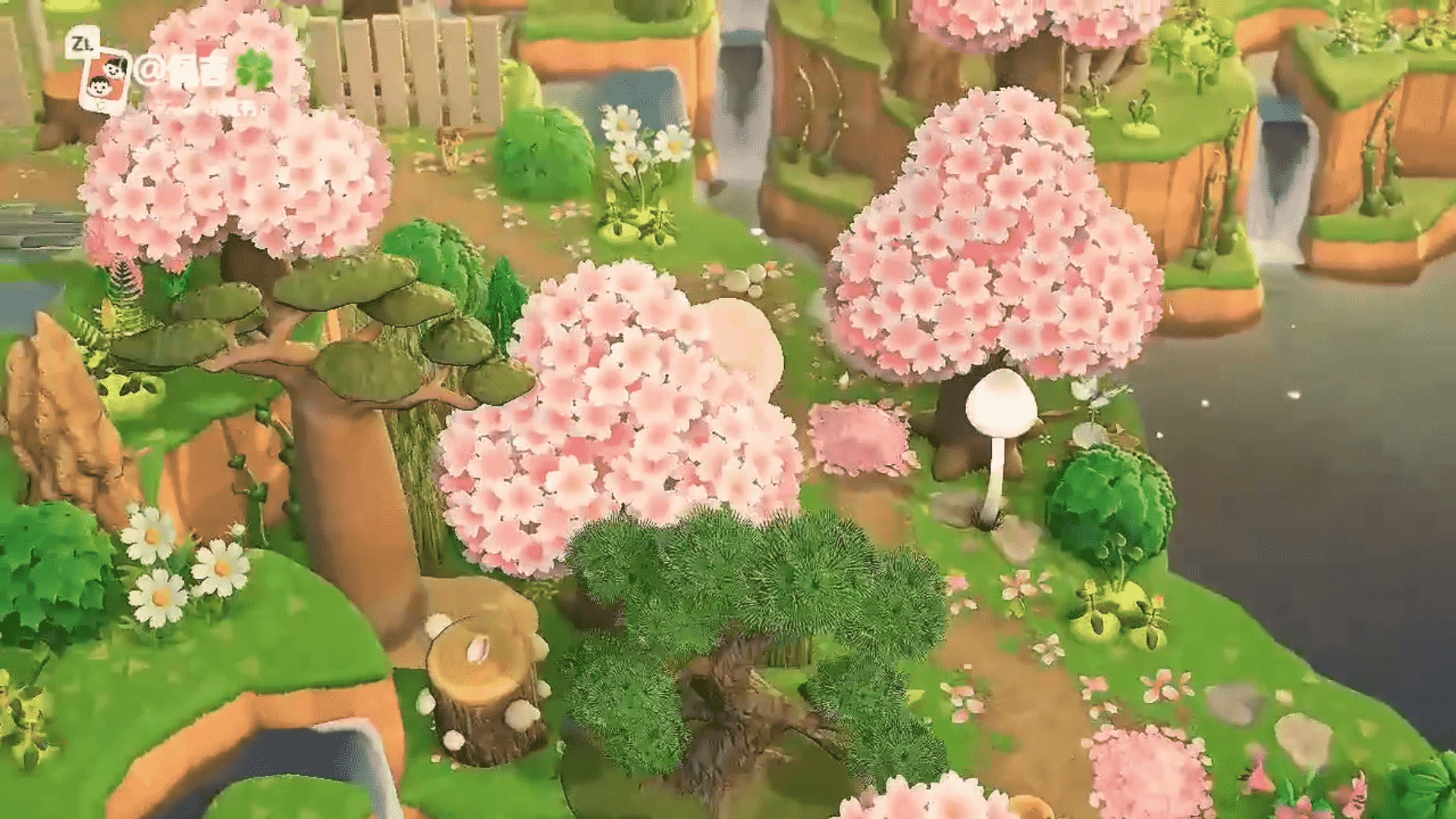 NO.77森系樱花季森系超强天然地形