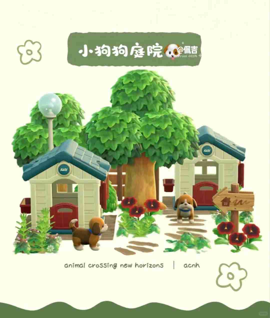 NO.8小狗狗庭院-PNxn.jpg